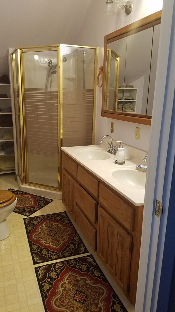 A bathroom with two sinks and a toilet.