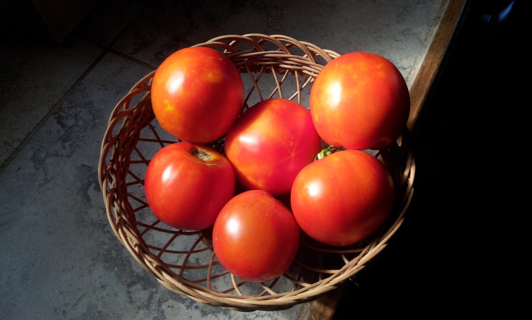 Some tomatoes kept in a basket