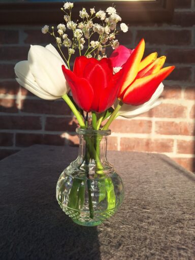 flowers from the garden... HSHBnB