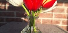 flowers from the garden... HSHBnB