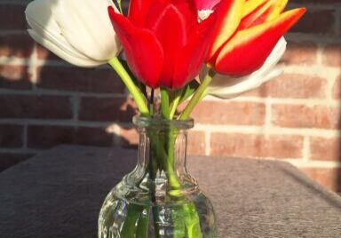 flowers from the garden... HSHBnB